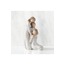 Our healing touch biblo by Susan Lordi | Willow Tree 16,51cm