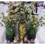 1LF-13500D Düğüm Düğün Çiçeği Yeşil Beyaz 100cm Yapay Decorative 1 Adet