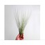 9372000488999 Yapay Bitki 45cm Tillandsia Juncea Dekoratif Gerçekçi 1 Adet