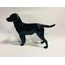 CH616 Goebel Siyah Köpek Alman Vintage Labrador Heykelcik Figür Biblo 1968 Koleksiyon 1 Adet