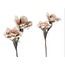 1LF-12610C Boya Çiçeği Pembe Beyaz 90cm Decorative Dekoratif 1 Adet