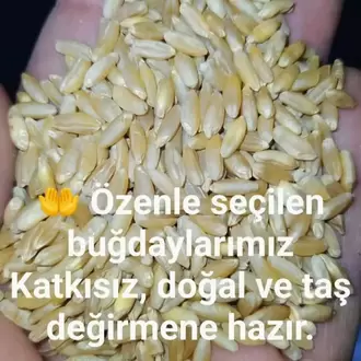 ESKİ DEĞİRMEN BAYRAMİÇ SARI BUĞDAY UNU 1KG