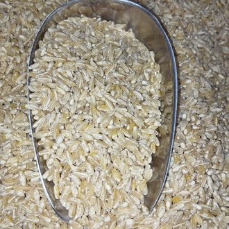 ESKİ DEĞİRMEN BAYRAMİÇ DÖVME (KEŞKEKLİK& AŞURELİK)KG