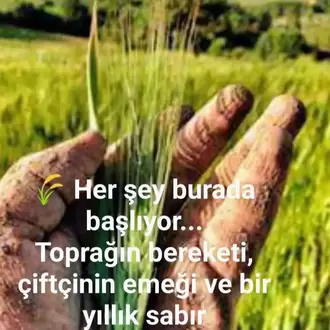 ESKİ DEĞİRMEN BAYRAMİÇ SARI BUĞDAY UNU 1KG