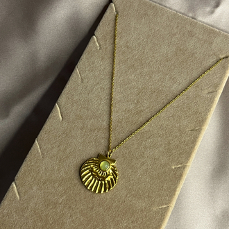 Coquille de Lune