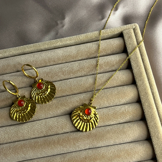 ❤️ Coral Shell