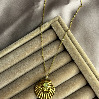 Coquille de Lune