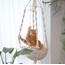 kedi hamağı