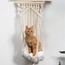 kedi hamağı