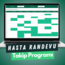 EXCEL - HASTA RANDEVU TAKİP PROGRAMI