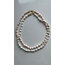 Seashell Necklace