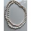 Seashell Necklace