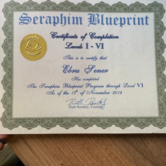 Seraphim Blueprint  Yaşam Gücü Enerjisi