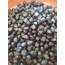 Kuru Sele Zeytin 500 gr