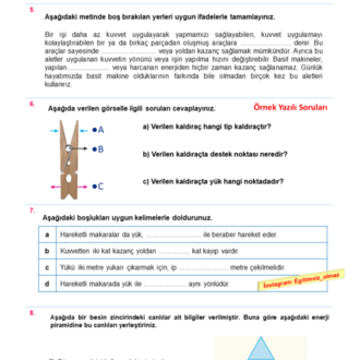 8.Sınıf 2.Dönem 1.Yazılı Seti - MNG Kargo