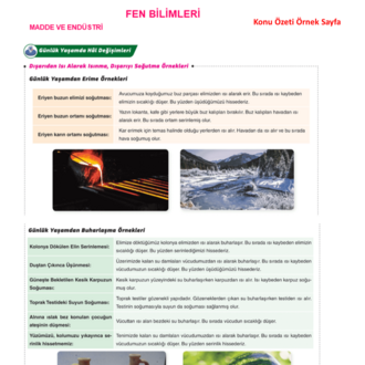 8.Sınıf 2.Dönem 1.Yazılı Seti - MNG Kargo