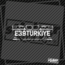 E39TURKİYE GRUP Stickerı