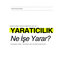 "Mini Mucizeler: 7 Günlük Yaratıcı Keşif" ( e-Kitap )