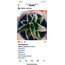 aloevera ve sukulent