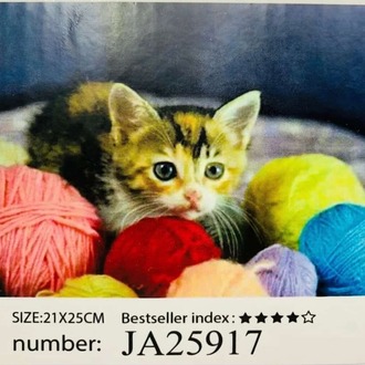 5D Yapışan Boncuk Goblen Mozaik Tablo Pano 21*25 cm