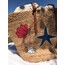 sea star