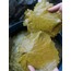 2026 ZEYTİNYAĞLI SARMA İÇİN 5KG BÜYÜK BOY TOKAT ERBAA YAPRAĞI
