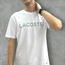 Lacoste T-Shirt