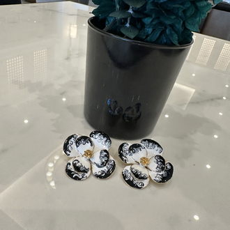 ZEBRA KÜPE