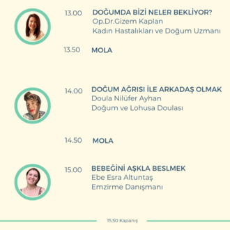 Gebe Festivali Bileti