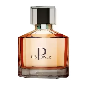 His Power Erkek Parfümü Edp 100 ml