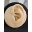 Makas Model Kıkırdak Piercing Tragus Helix Altın Gold Renk Küpe- 1300