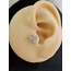 Arı Model Kıkırdak Piercing Tragus Helix Silver Gümüş Renk Küpe - 1301