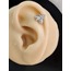 Arı Model Kıkırdak Piercing Tragus Helix Silver Gümüş Renk Küpe - 1301