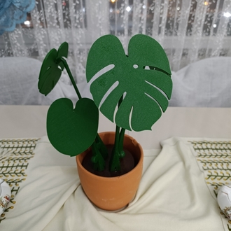 Monstera Plant Bardak Altlığı