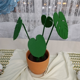 Monstera Plant Bardak Altlığı