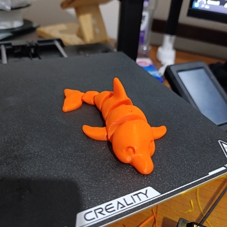 Yunus Balığı fidget toy