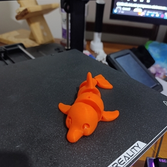 Yunus Balığı fidget toy