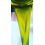 ZEYTİN YAĞI(Normal sıkım Natural Sızma Dizemlik (0,5 asit) (1 litre PET)