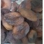 KAYISI (SARI ve GÜNKURUSU) 1KG