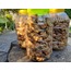 İncir İRİ boy (Ballı Yeni Mahsul) 1 kg