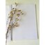 Doğa kızı note book spiralli defter 