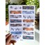 washi tape bant sticker filli temali