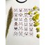 Tatlı emoji kediler Kawai parlak sticker