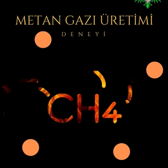 Metan Gazı Üretimi