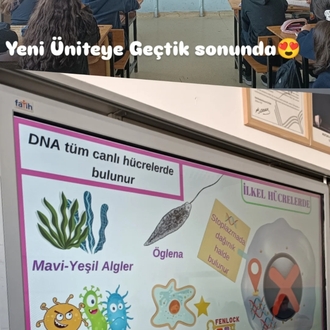 Ömürlük Ders Notları