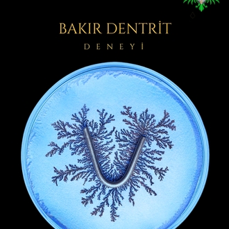 Bakır Dendrit