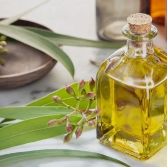 Okaliptus Uçucu Yağı 20 ml.