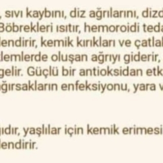 İğde Sirkesi Shot Boy 100 ml.