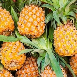 Bromelain Sirkesi Shot Boy 100 ml.