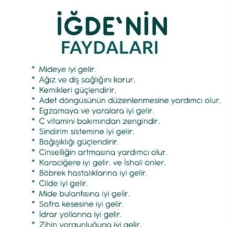 İğde Sirkesi 250 cc